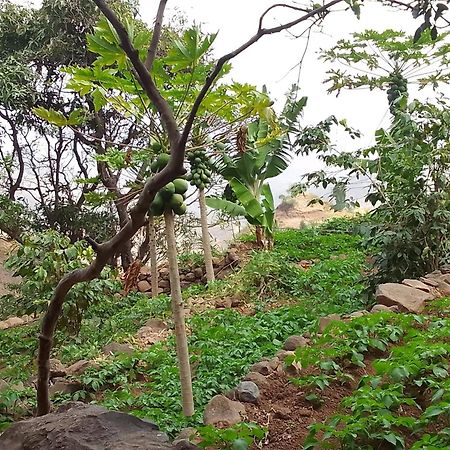 Hotel Sao Jorge Village Orgaos Ngoại thất bức ảnh